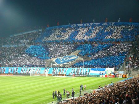 34-OM-ASSE 05.jpg